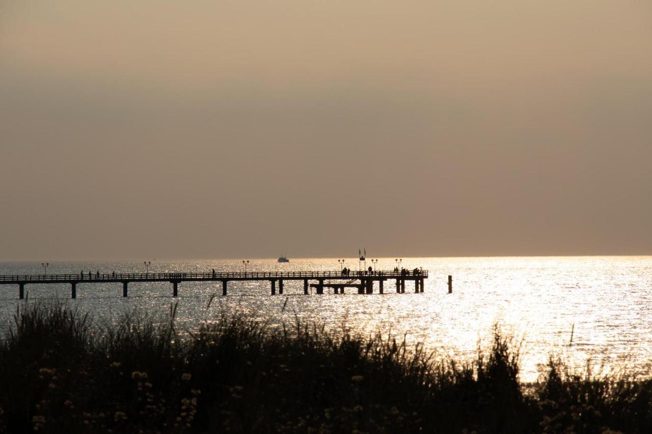 Ostsee Domizil Graal-Mueritz Kültér fotó